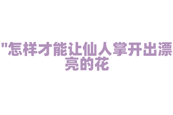 "怎样才能让仙人掌开出漂亮的花？"